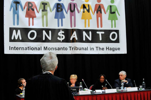 Durante três dias, cinco juízes ouviram 30 depoimentos de pessoas prejudicadas pela Monsanto em tribunal popular realizado em Haia / Reprodução/ Facebook