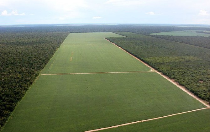 Latifúndios com mais de mil hectares (0,91%) concentram 45% de toda a área de produção agrícola. Foto: Rede Brasil Atual