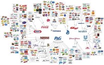 Organizações alemãs lançam Atlas das Multinacionais 2017, que documenta a concentração do agronegócio Foto: http://agroecoculturas.org/