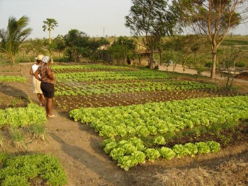 horta